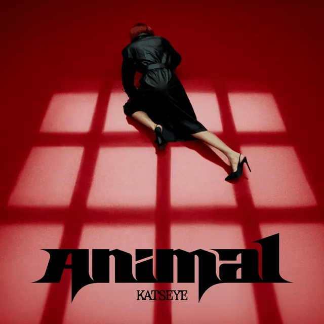 Cover image for Animal by KATSEYE